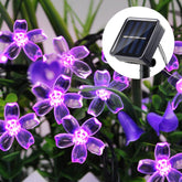 12m 50 Flower Waterproof Solar Led Light Outdoor Christmas-TI00843-Veeddydropshipping